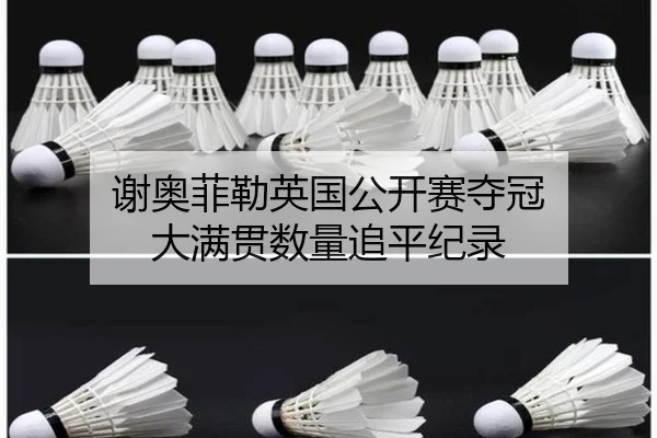 xie-ao-fei-lei-ying-guo-gong-kai-sai-duo-guan-da-man-guan-shu-liang-zhui-ping-ji-lu-2-713.jpg